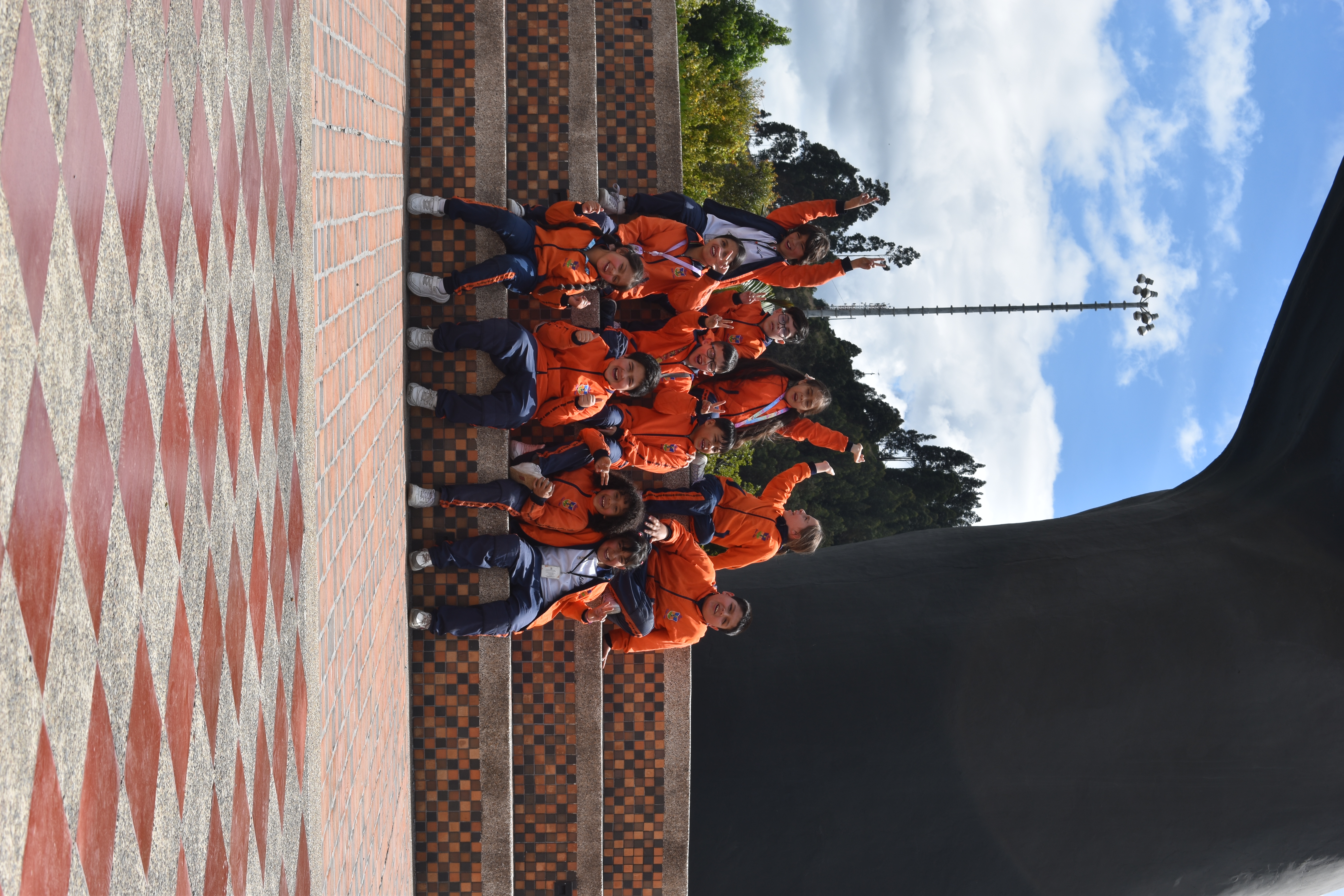 Descripción de la imagen