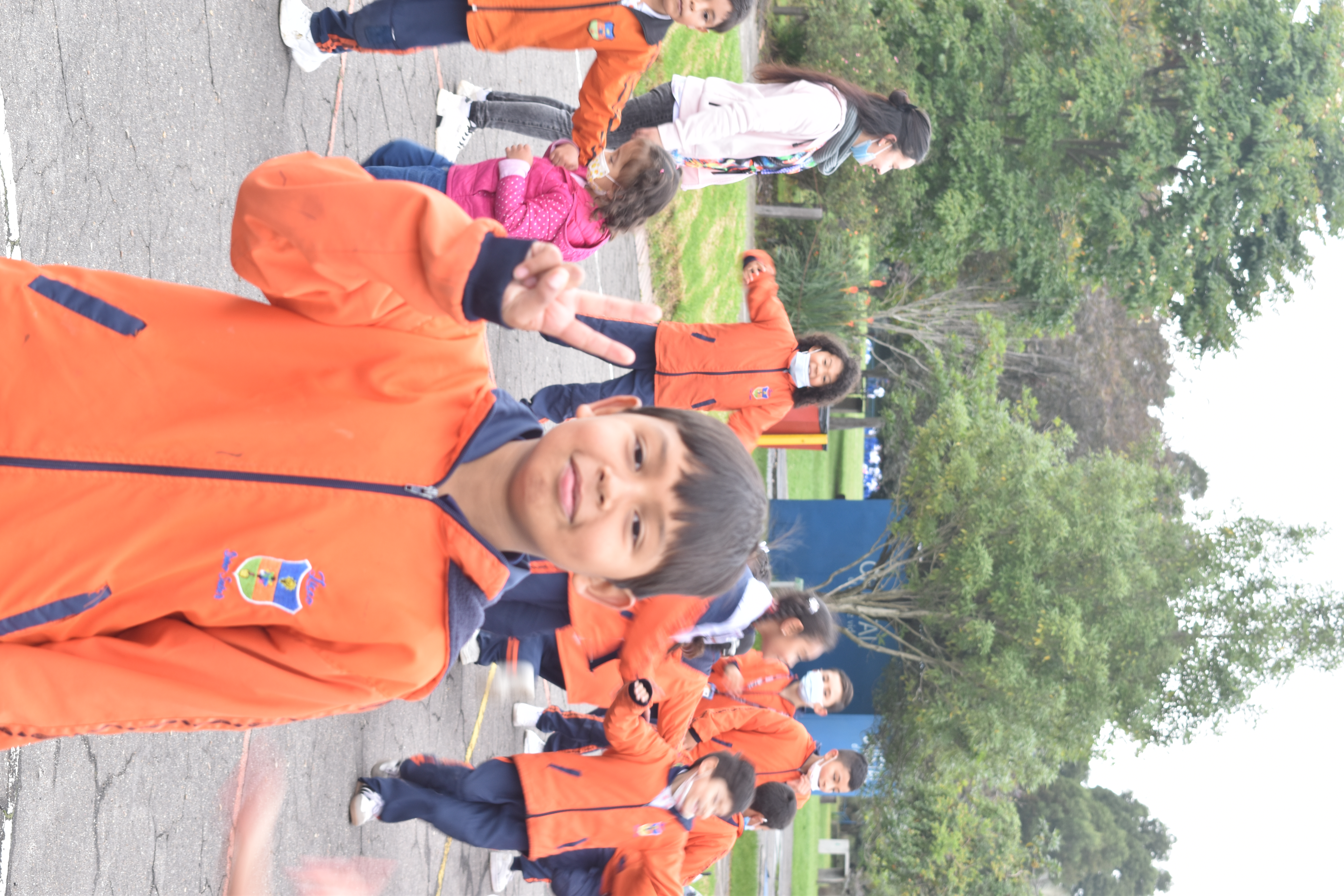 Descripción de la imagen