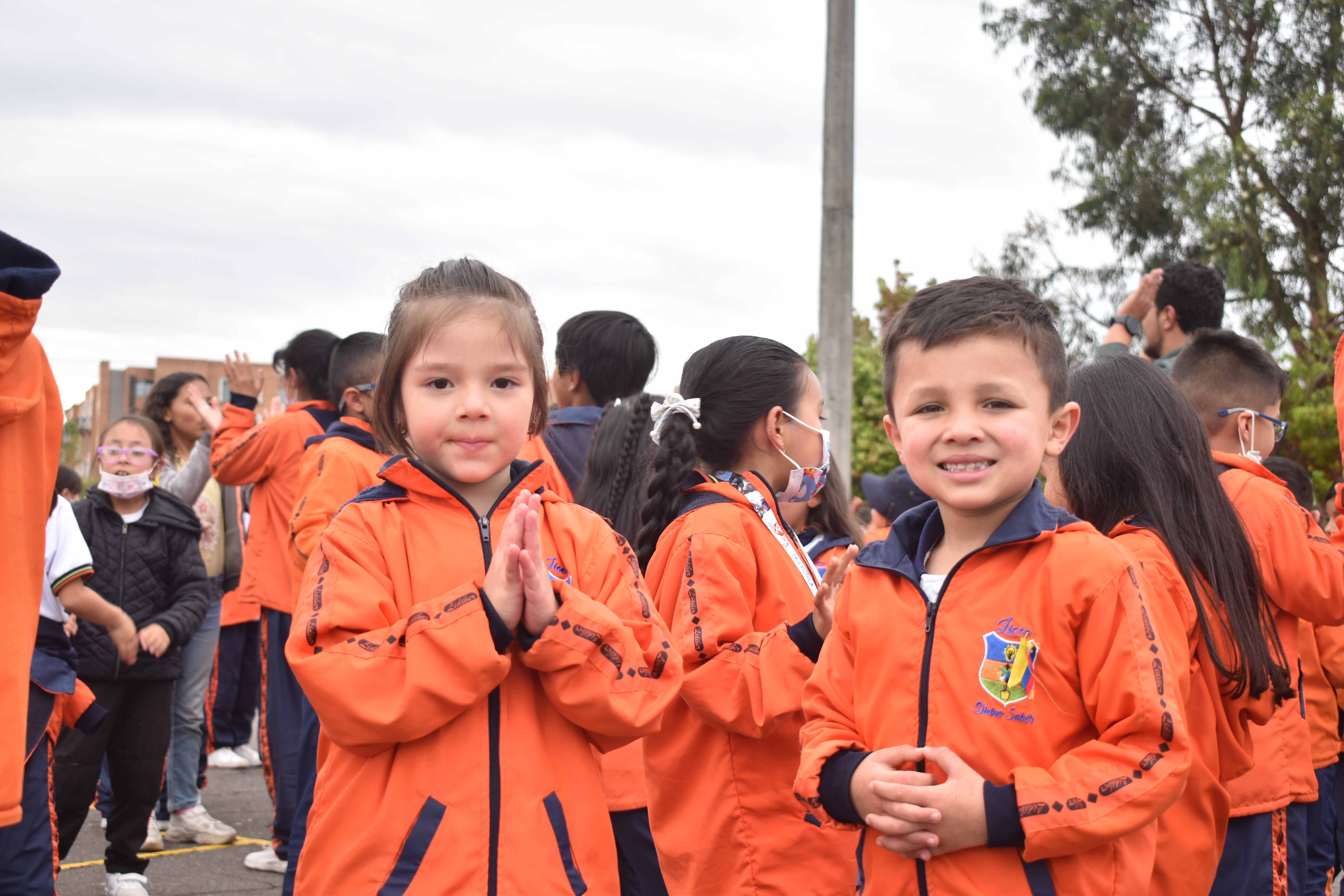 Descripción de la imagen